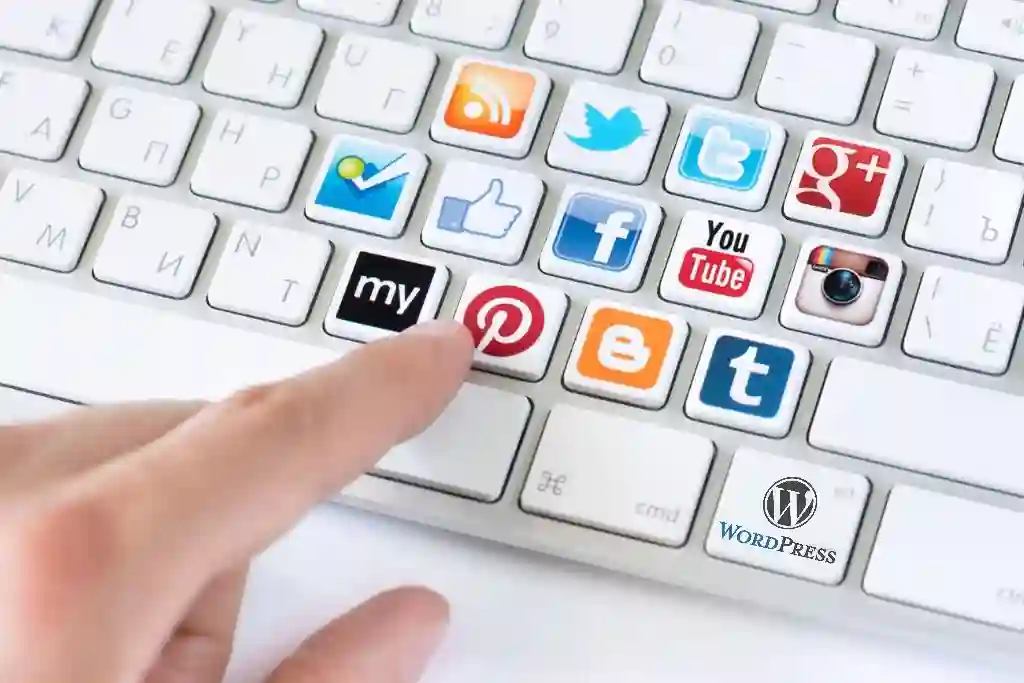 wordpress sosyal medya eklentisi