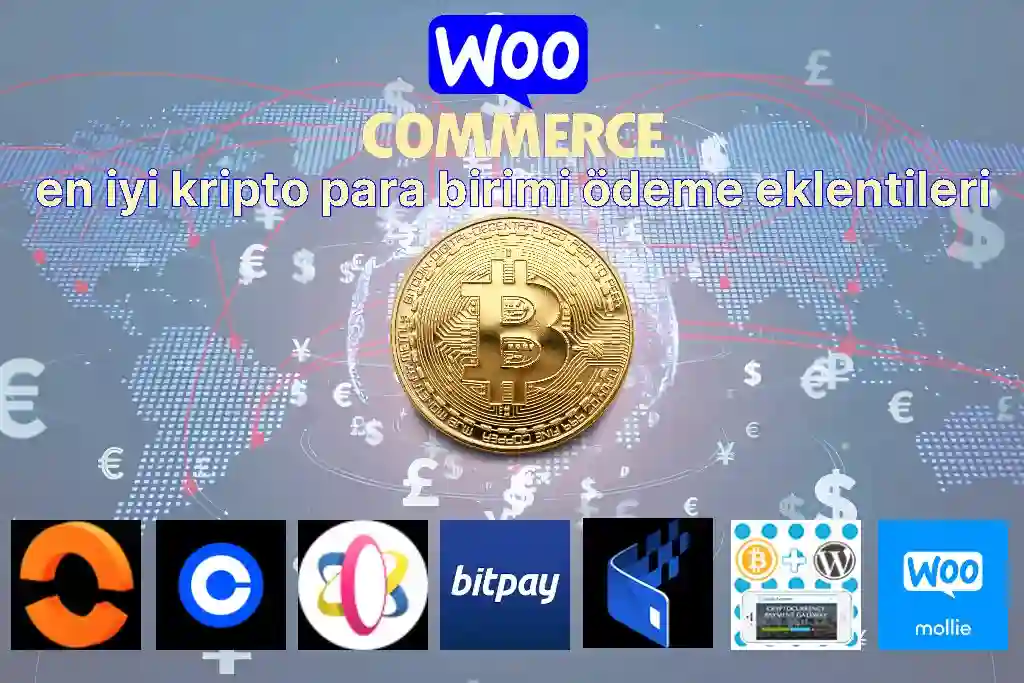 en iyi kripto para birimi ödeme eklentileri