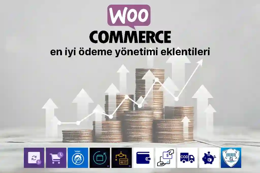 en iyi woocommerce ödeme yönetimi eklentileri