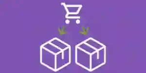 woocommerce advanced shipping packages